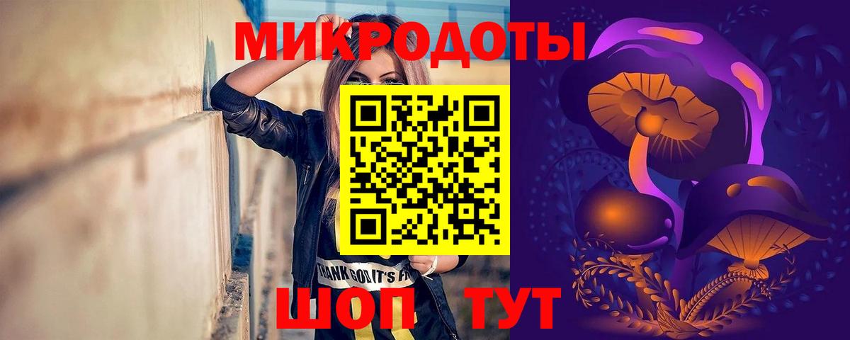 Богданович  Галлюциногенные грибы Psilocybine cubensis  Вход с VPN 